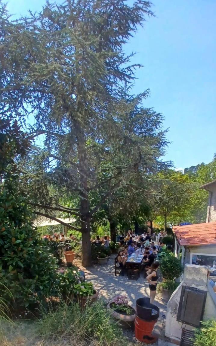 Ala Di Maniero In Agriturismo Valdrago In Toscana, Nel Verde Mugello Sulle Colline Di Firenze Борго-Сан-Лоренцо Экстерьер фото