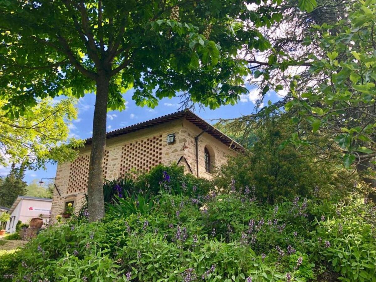 Ala Di Maniero In Agriturismo Valdrago In Toscana, Nel Verde Mugello Sulle Colline Di Firenze Борго-Сан-Лоренцо Экстерьер фото