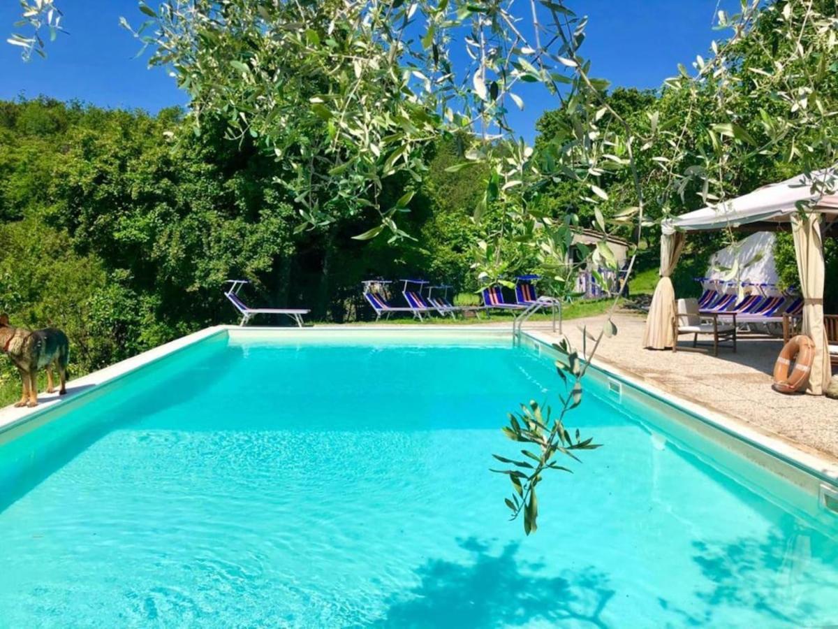 Ala Di Maniero In Agriturismo Valdrago In Toscana, Nel Verde Mugello Sulle Colline Di Firenze Борго-Сан-Лоренцо Экстерьер фото