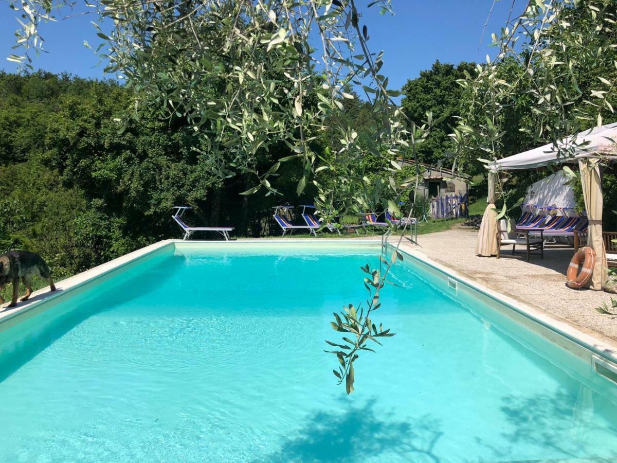 Ala Di Maniero In Agriturismo Valdrago In Toscana, Nel Verde Mugello Sulle Colline Di Firenze Борго-Сан-Лоренцо Экстерьер фото